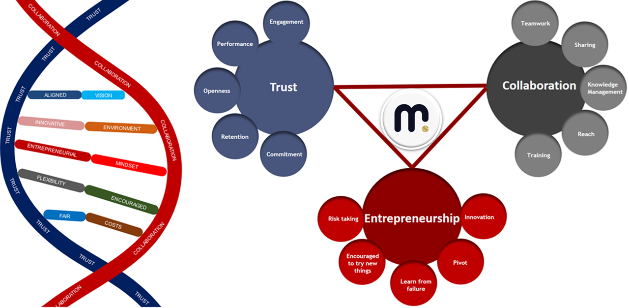 Talent wins games, but teamwork and trust win championships.